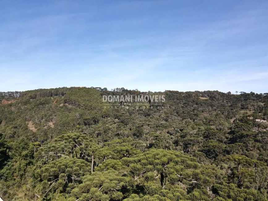 Foto 6 de Terreno / Lote à venda, 4300m2 em Campos Do Jordao - SP
