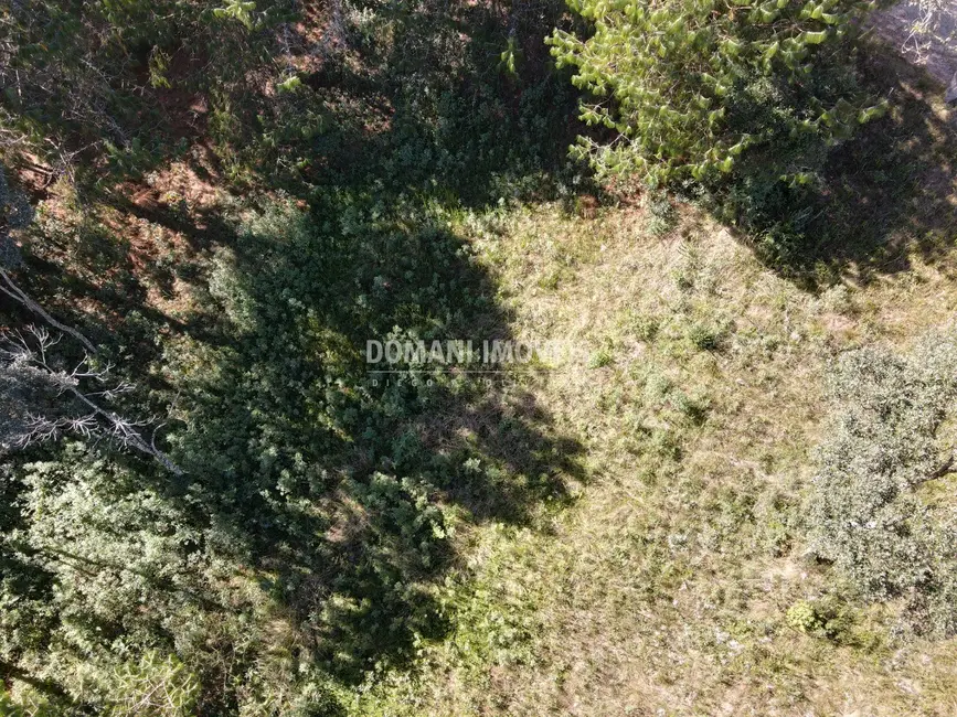 Foto 8 de Terreno / Lote à venda, 1215m2 em Campos Do Jordao - SP