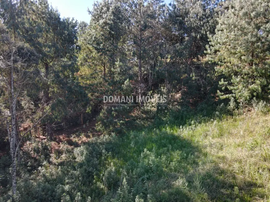 Foto 2 de Terreno / Lote à venda, 1215m2 em Campos Do Jordao - SP