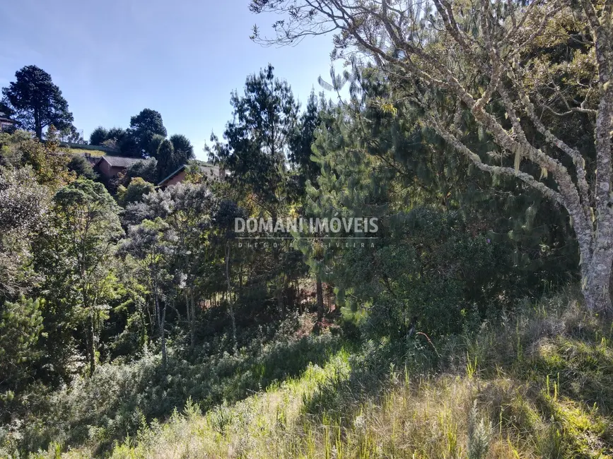 Foto 6 de Terreno / Lote à venda, 1215m2 em Campos Do Jordao - SP
