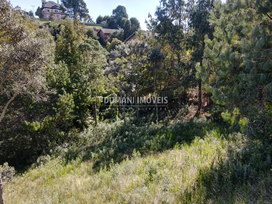 Foto 3 de Terreno / Lote à venda, 1215m2 em Campos Do Jordao - SP