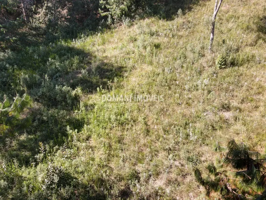 Foto 9 de Terreno / Lote à venda, 1215m2 em Campos Do Jordao - SP