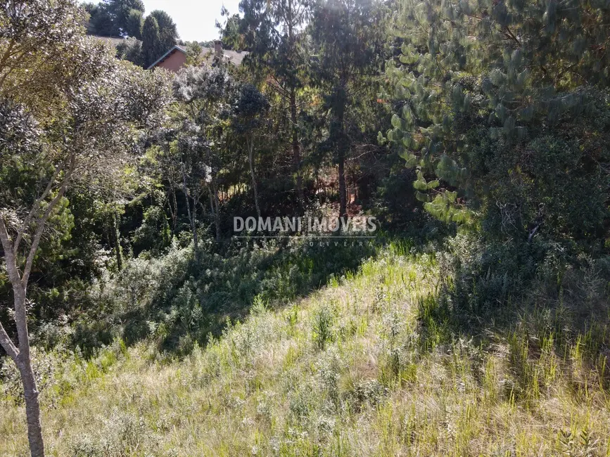 Foto 4 de Terreno / Lote à venda, 1215m2 em Campos Do Jordao - SP