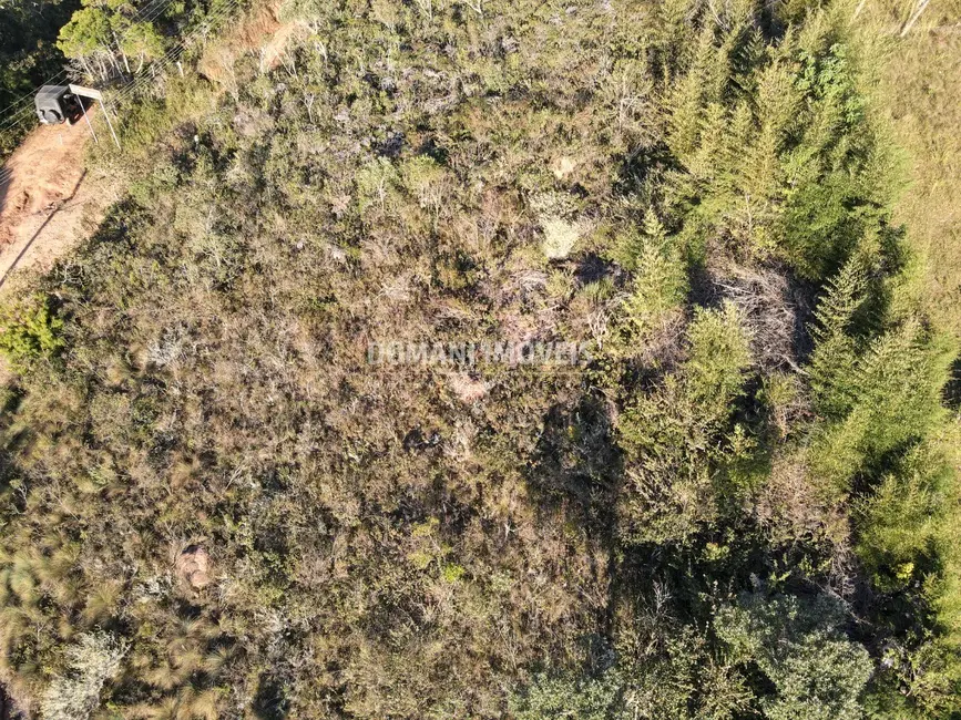 Foto 6 de Terreno / Lote à venda, 1010m2 em Campos Do Jordao - SP