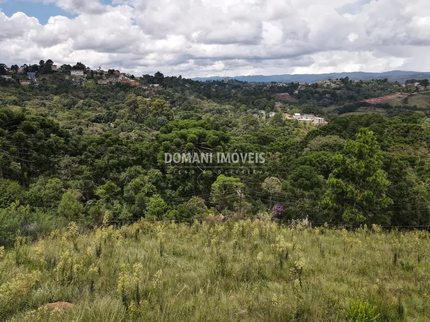 Foto 7 de Terreno / Lote à venda, 2080m2 em Campos Do Jordao - SP