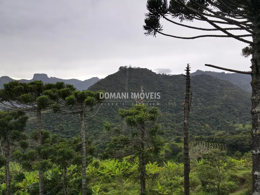 Foto 5 de Terreno / Lote à venda, 4100m2 em Campos Do Jordao - SP
