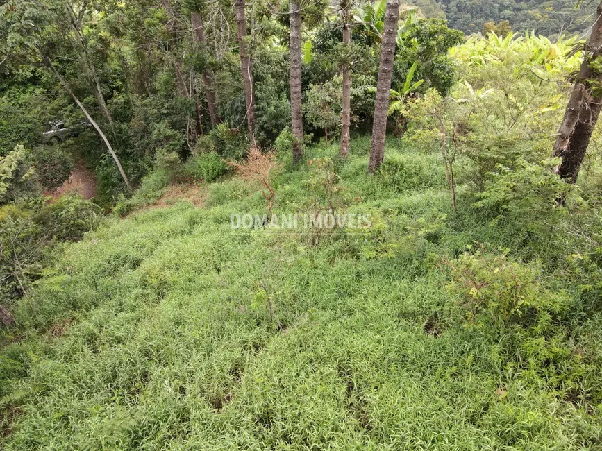 Foto 4 de Terreno / Lote à venda, 4100m2 em Campos Do Jordao - SP