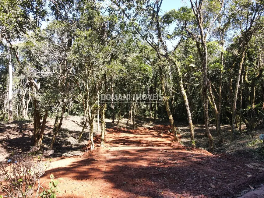 Foto 7 de Sítio / Rancho à venda em Santo Antonio Do Pinhal - SP