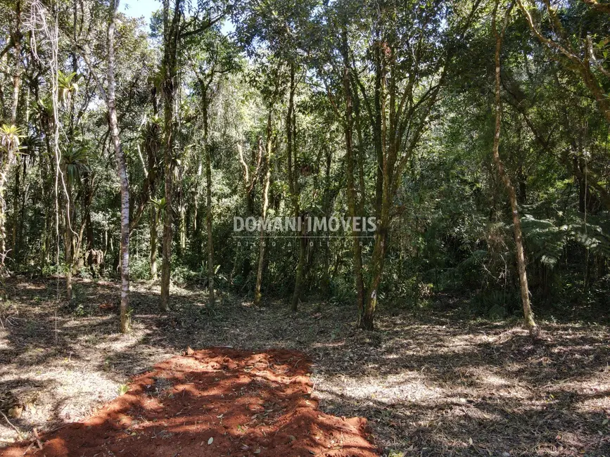 Foto 3 de Sítio / Rancho à venda em Santo Antonio Do Pinhal - SP