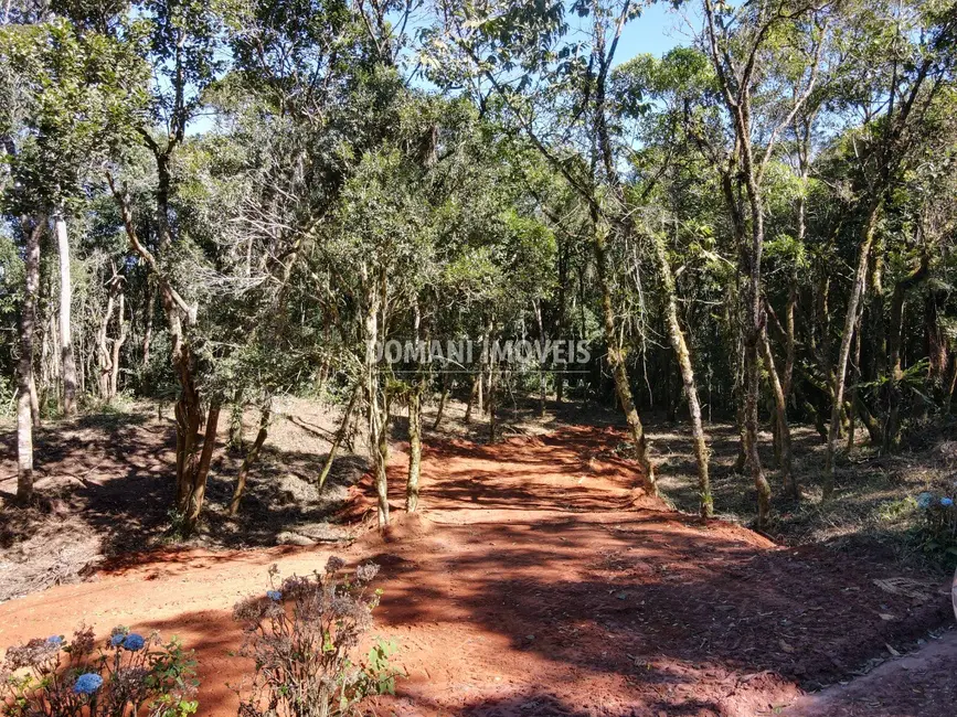 Foto 5 de Sítio / Rancho à venda em Santo Antonio Do Pinhal - SP