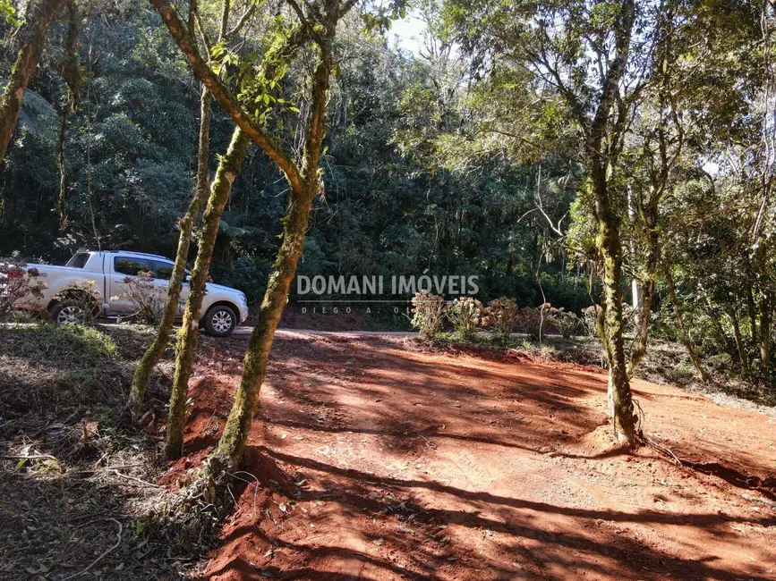 Foto 2 de Sítio / Rancho à venda em Santo Antonio Do Pinhal - SP