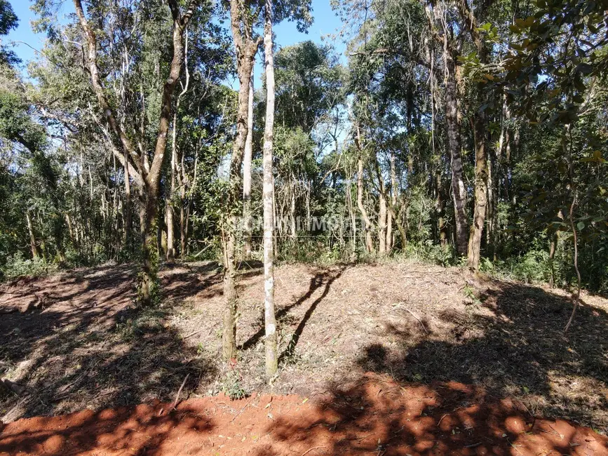 Foto 9 de Sítio / Rancho à venda em Santo Antonio Do Pinhal - SP