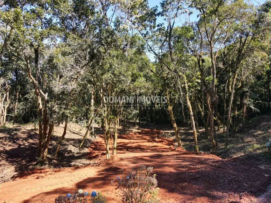 Foto 1 de Sítio / Rancho à venda em Santo Antonio Do Pinhal - SP