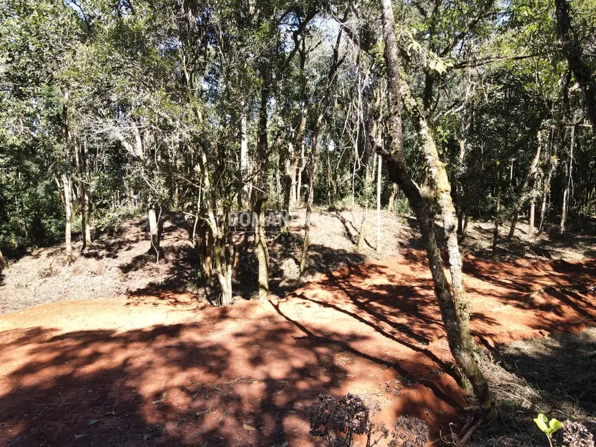 Foto 6 de Sítio / Rancho à venda em Santo Antonio Do Pinhal - SP