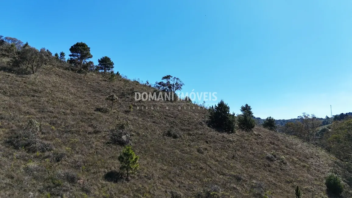 Foto 5 de Terreno / Lote à venda, 1390m2 em Campos Do Jordao - SP