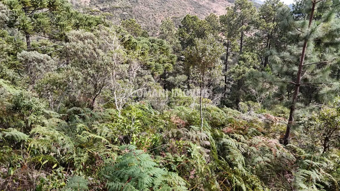Foto 6 de Terreno / Lote à venda, 1060m2 em Campos Do Jordao - SP