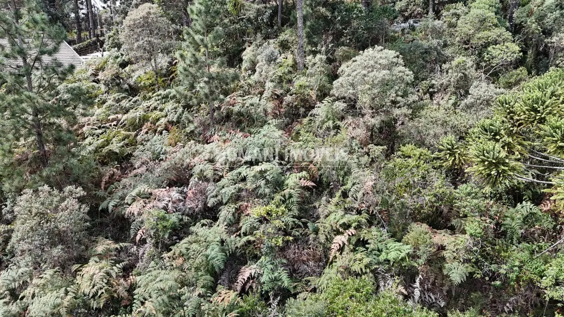Foto 3 de Terreno / Lote à venda, 1060m2 em Campos Do Jordao - SP
