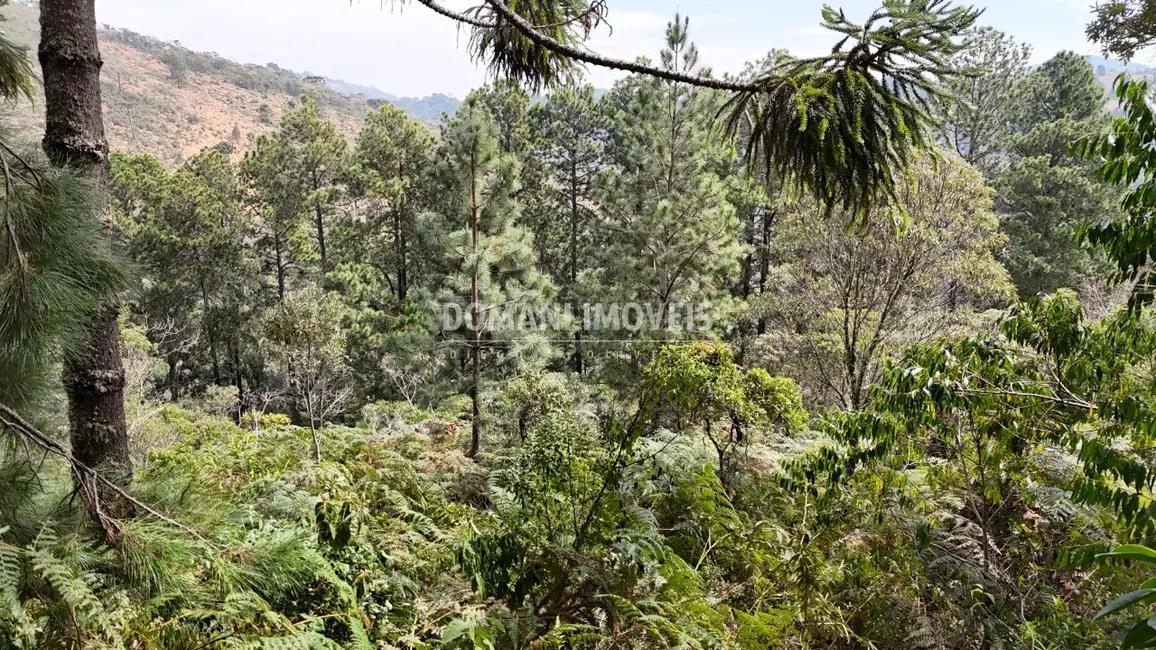 Foto 2 de Terreno / Lote à venda, 1060m2 em Campos Do Jordao - SP