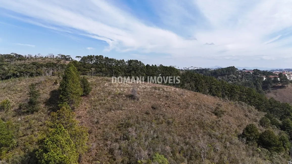 Foto 7 de Terreno / Lote à venda em Campos Do Jordao - SP