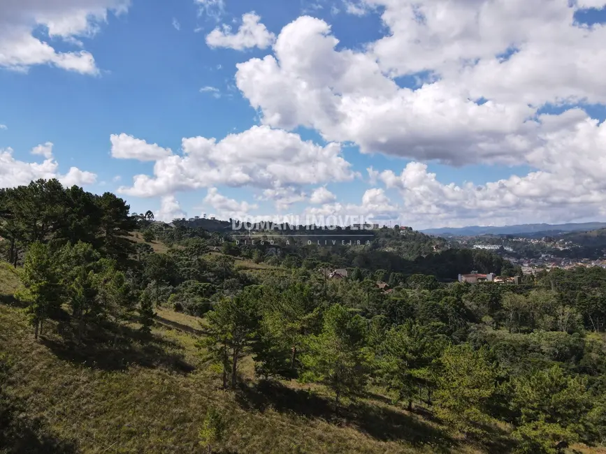 Foto 4 de Terreno / Lote à venda, 1400m2 em Campos Do Jordao - SP