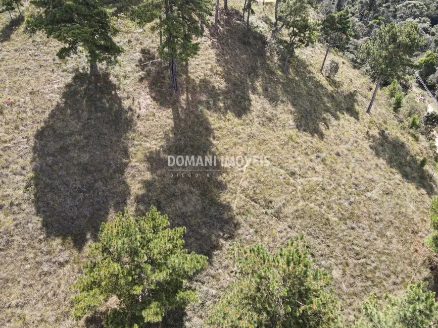 Foto 3 de Terreno / Lote à venda, 1600m2 em Campos Do Jordao - SP
