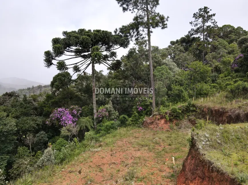 Foto 1 de Terreno / Lote à venda, 1270m2 em Campos Do Jordao - SP