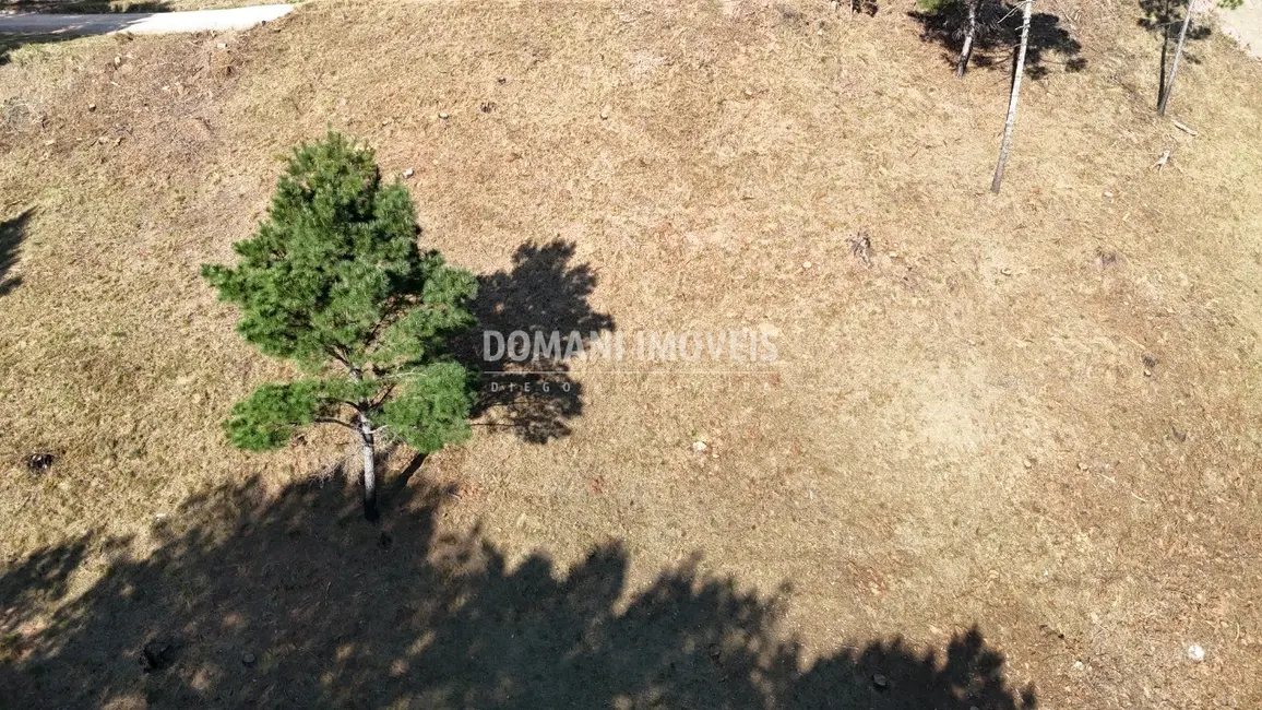 Terreno / Lote à venda, 1060m2 em Campos Do Jordao - SP - imagem 9 Foto 9 de Terreno / Lote à venda, 1060m2 em Campos Do Jordao - SP