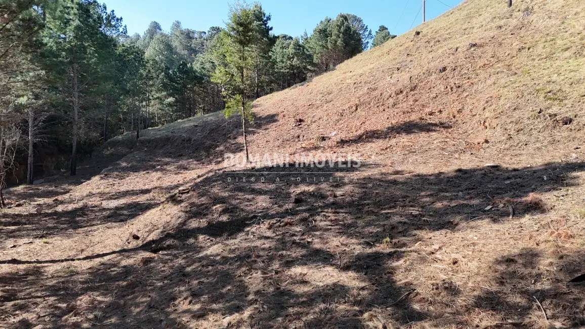 Foto 5 de Terreno / Lote à venda, 1150m2 em Campos Do Jordao - SP