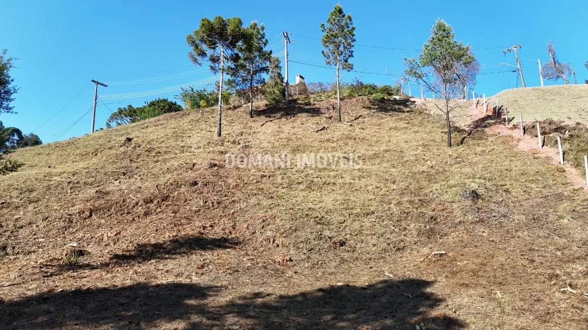 Foto 7 de Terreno / Lote à venda, 1150m2 em Campos Do Jordao - SP