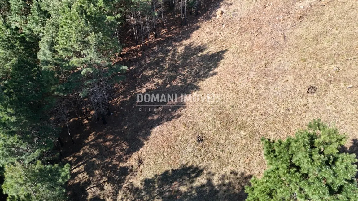 Foto 3 de Terreno / Lote à venda, 1050m2 em Campos Do Jordao - SP