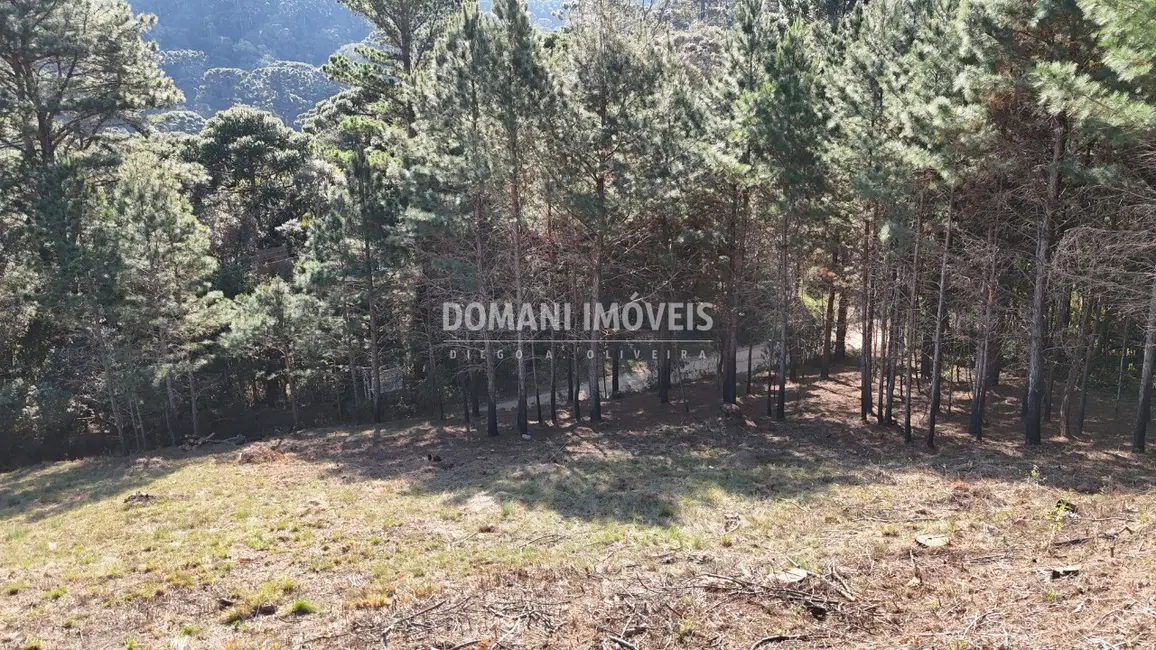 Foto 6 de Terreno / Lote à venda, 1050m2 em Campos Do Jordao - SP