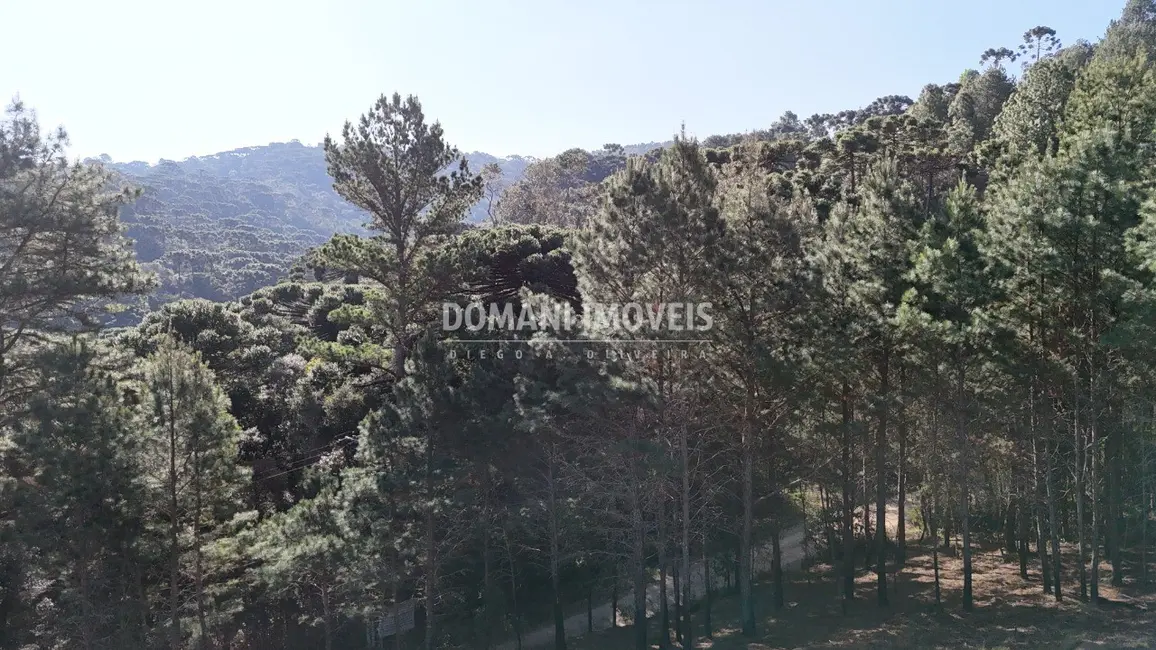 Foto 4 de Terreno / Lote à venda, 1050m2 em Campos Do Jordao - SP