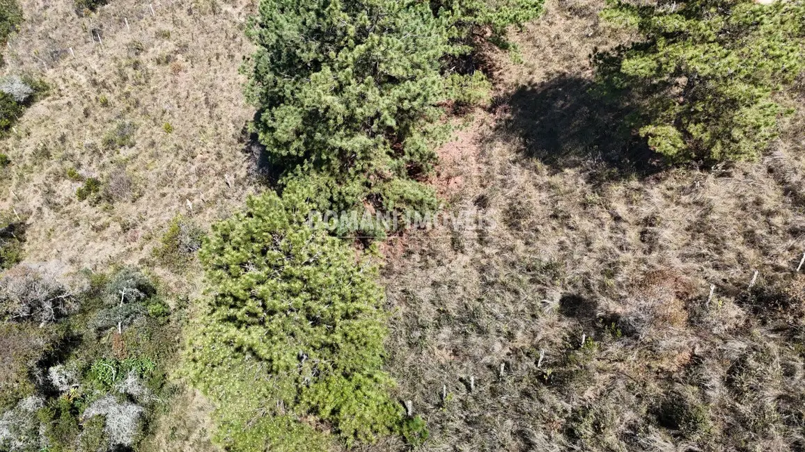 Foto 2 de Terreno / Lote à venda, 1270m2 em Campos Do Jordao - SP