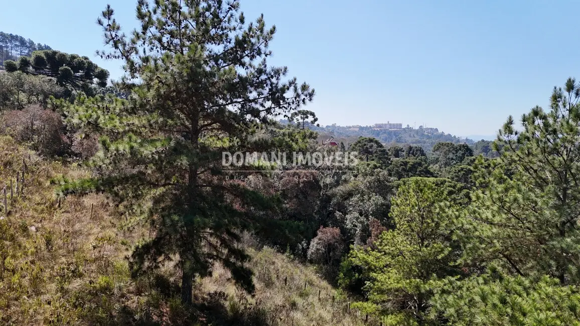 Foto 7 de Terreno / Lote à venda, 1270m2 em Campos Do Jordao - SP