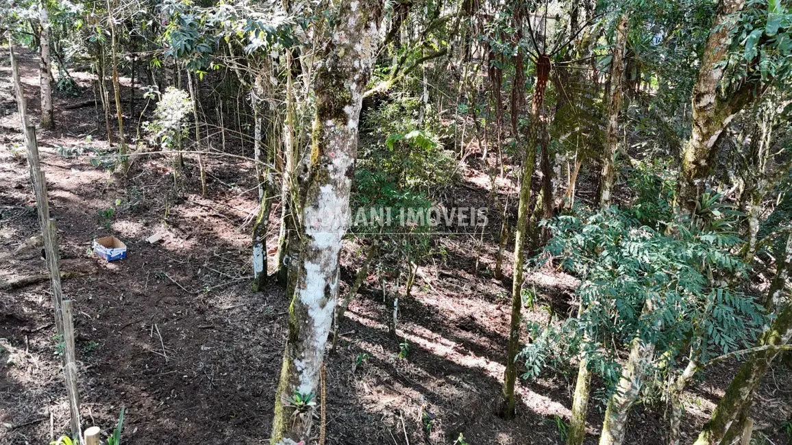 Foto 5 de Terreno / Lote à venda, 1080m2 em Campos Do Jordao - SP