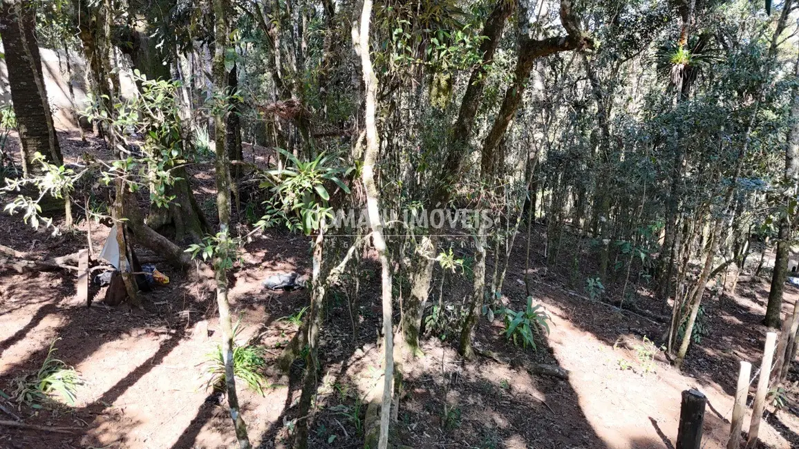 Foto 7 de Terreno / Lote à venda, 1080m2 em Campos Do Jordao - SP