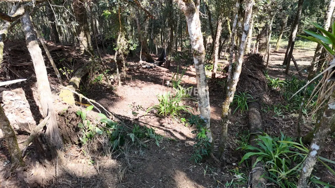 Foto 8 de Terreno / Lote à venda, 1080m2 em Campos Do Jordao - SP