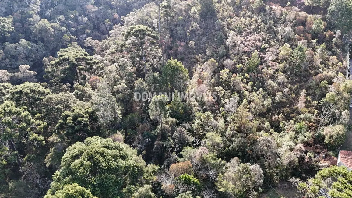 Foto 2 de Terreno / Lote à venda em Campos Do Jordao - SP