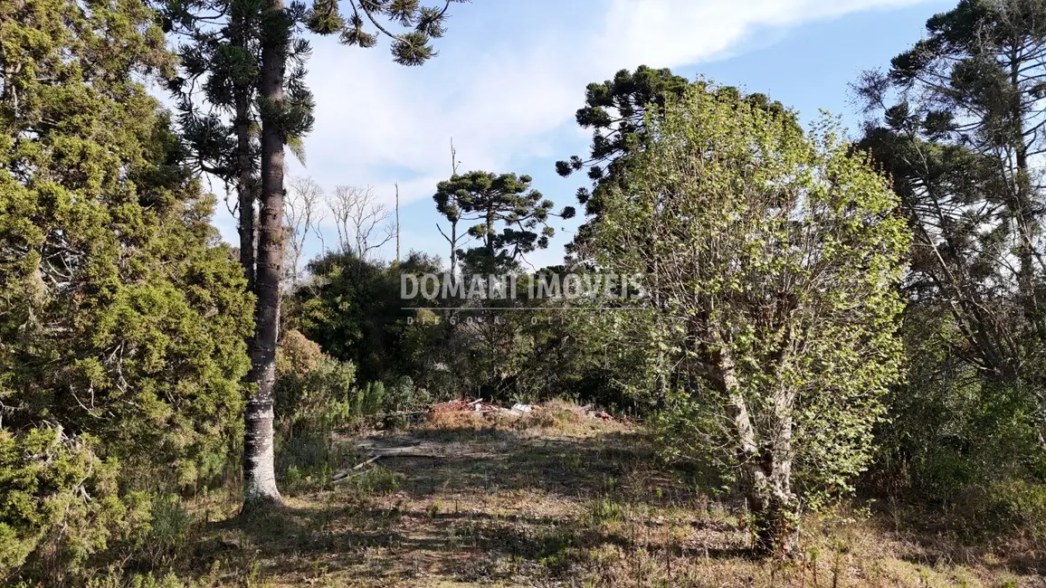 Foto 5 de Terreno / Lote à venda em Campos Do Jordao - SP