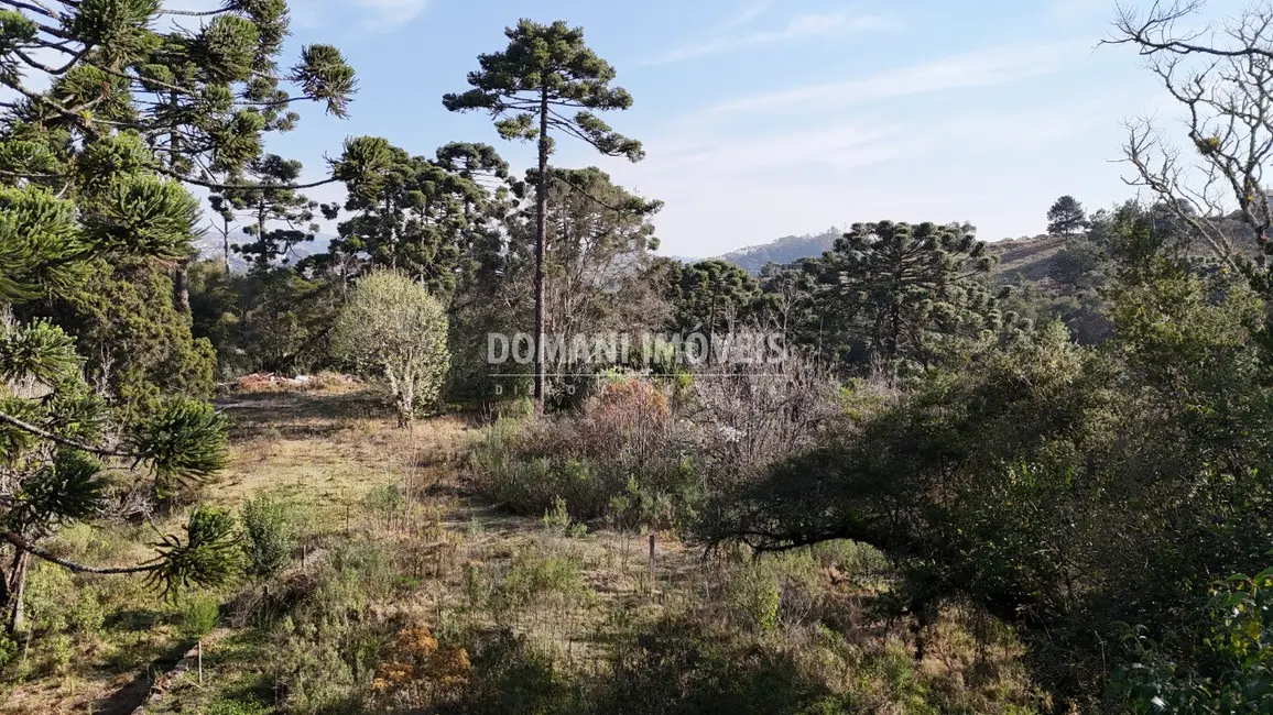 Foto 6 de Terreno / Lote à venda em Campos Do Jordao - SP