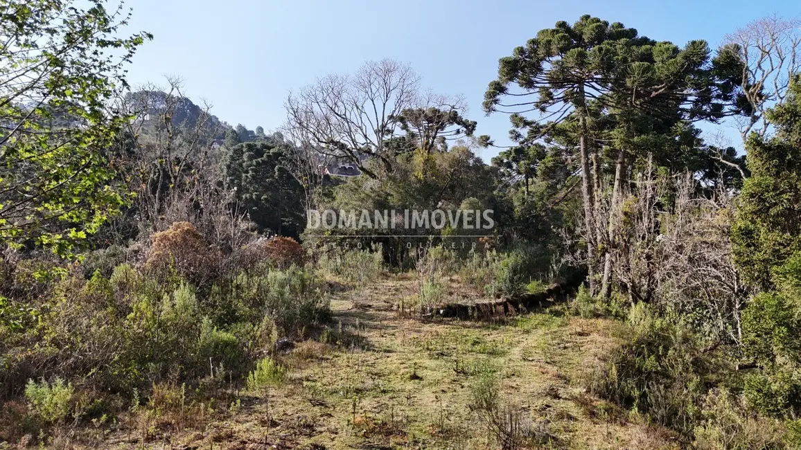 Foto 4 de Terreno / Lote à venda em Campos Do Jordao - SP
