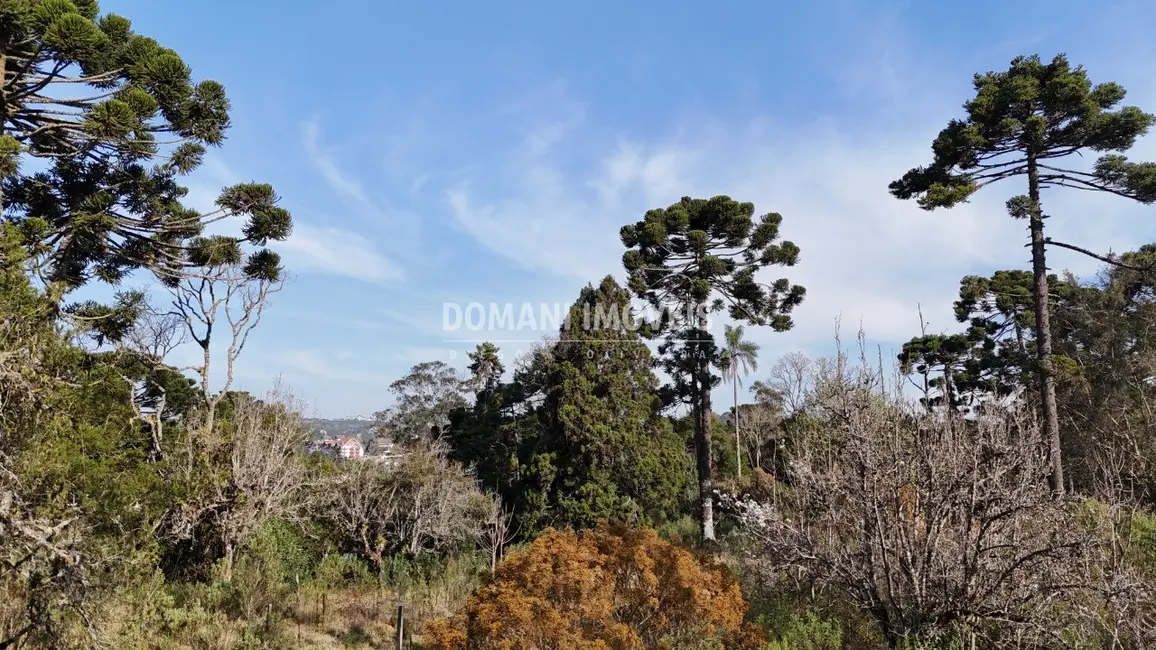 Foto 1 de Terreno / Lote à venda em Campos Do Jordao - SP