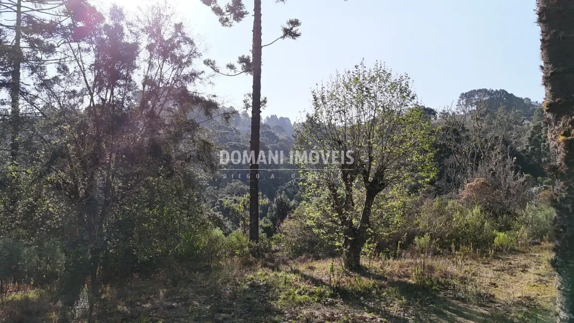 Foto 8 de Terreno / Lote à venda em Campos Do Jordao - SP