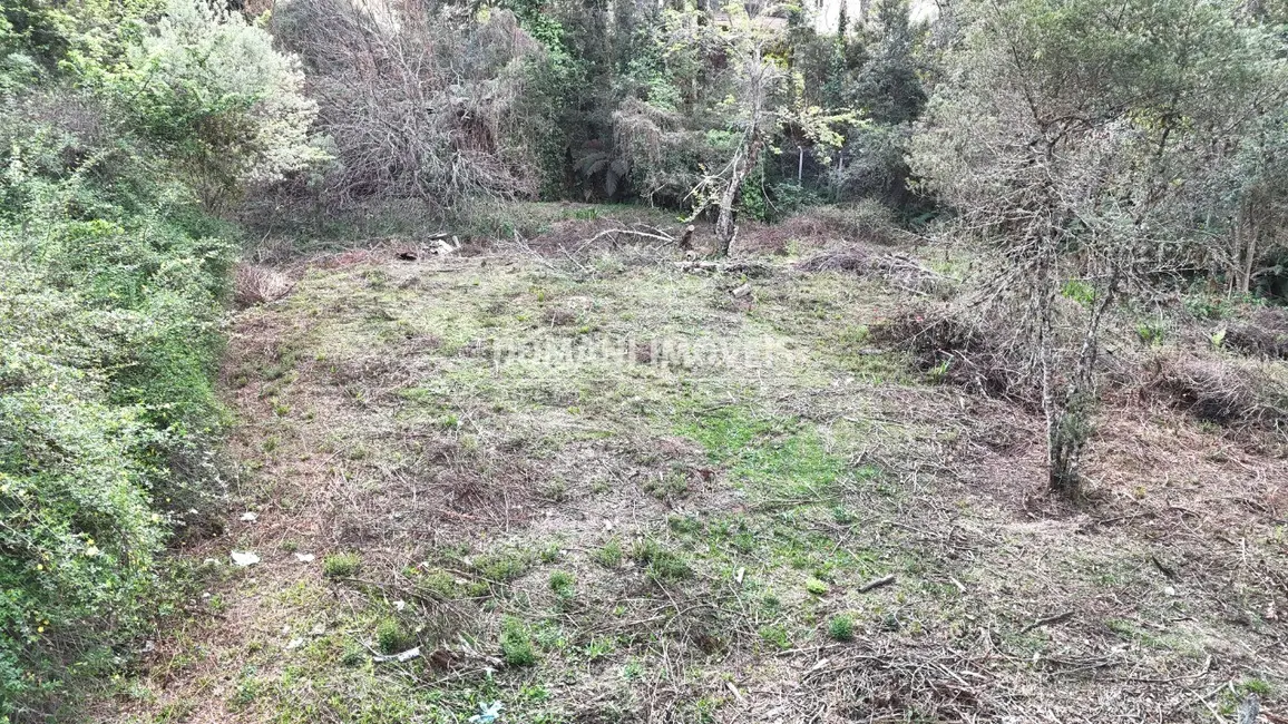 Foto 5 de Terreno / Lote à venda, 1200m2 em Campos Do Jordao - SP