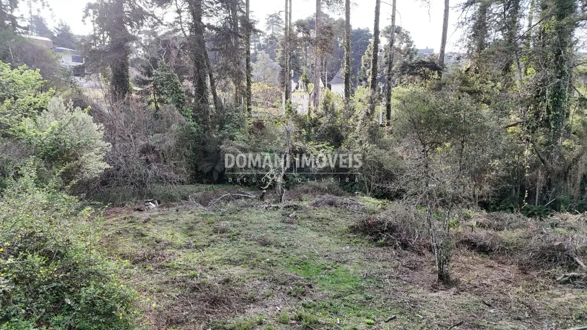 Foto 8 de Terreno / Lote à venda, 1200m2 em Campos Do Jordao - SP