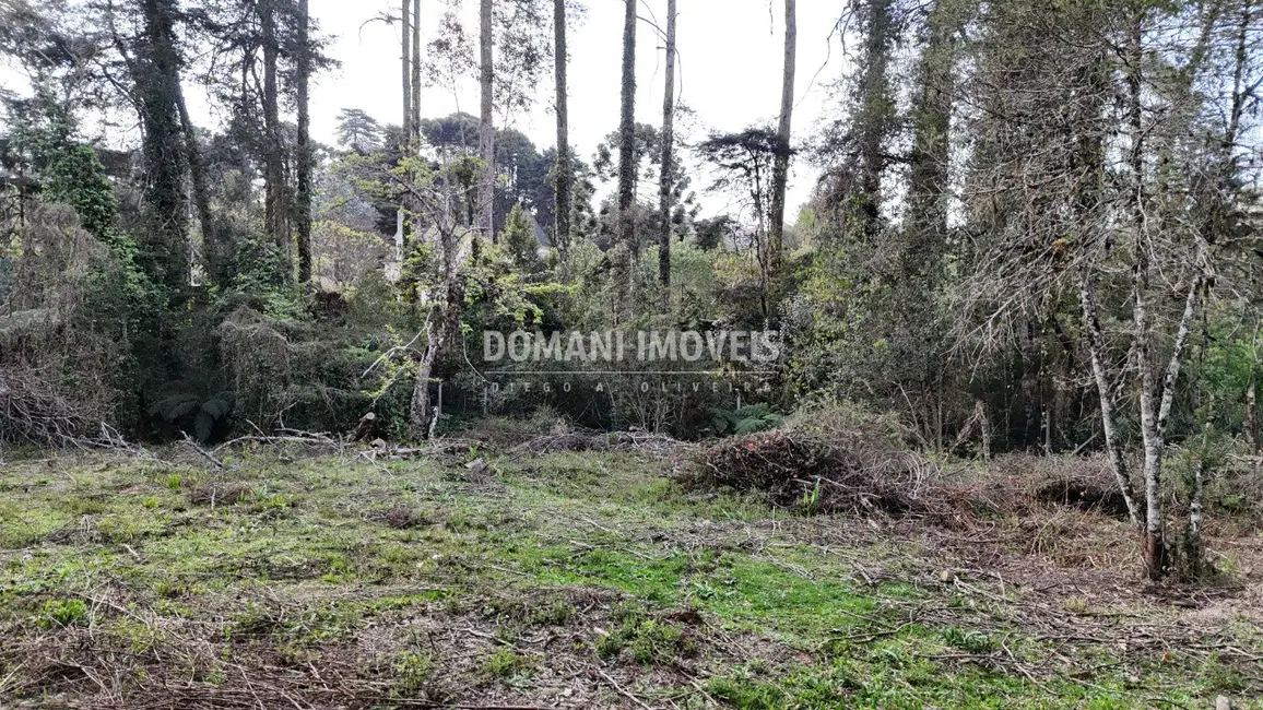 Foto 2 de Terreno / Lote à venda, 1200m2 em Campos Do Jordao - SP