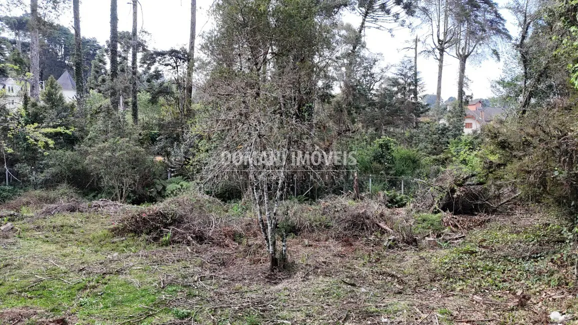 Foto 4 de Terreno / Lote à venda, 1200m2 em Campos Do Jordao - SP