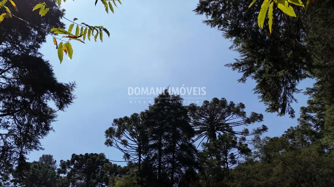 Foto 7 de Terreno / Lote à venda, 1110m2 em Campos Do Jordao - SP