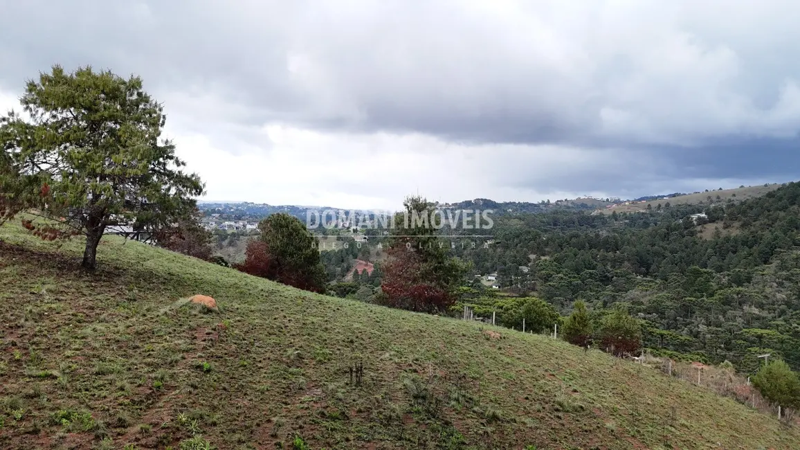 Foto 1 de Terreno / Lote à venda, 1800m2 em Campos Do Jordao - SP