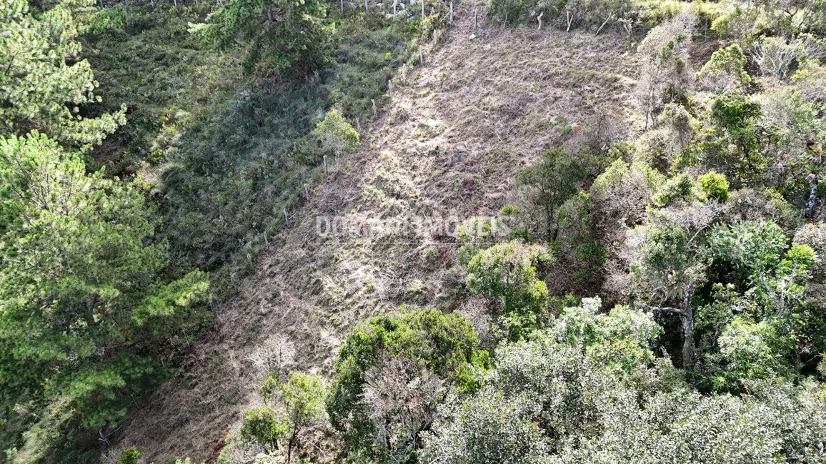 Foto 9 de Terreno / Lote à venda, 1245m2 em Campos Do Jordao - SP